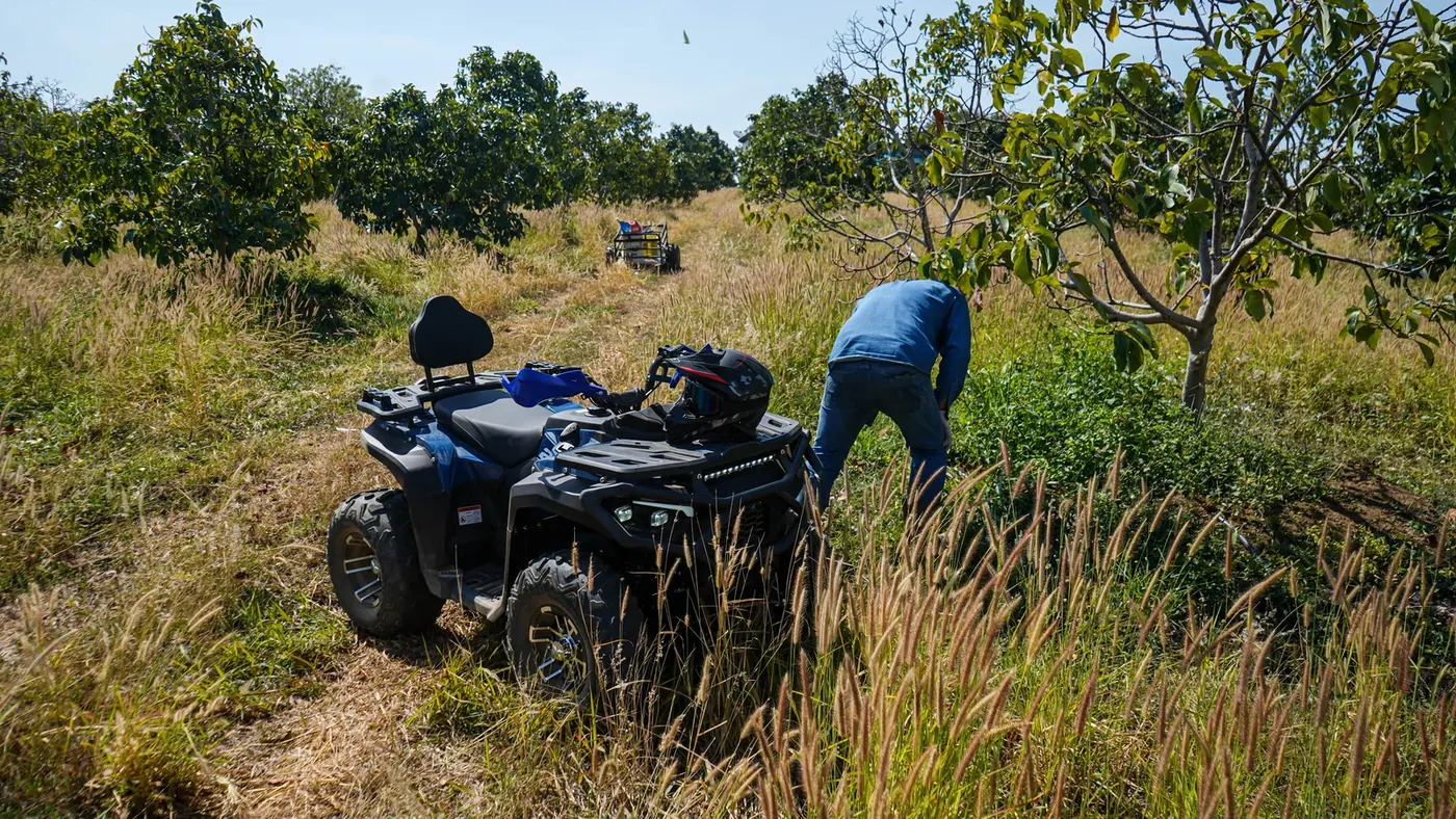 TERRAFORCE 250 Snorkel Standard
